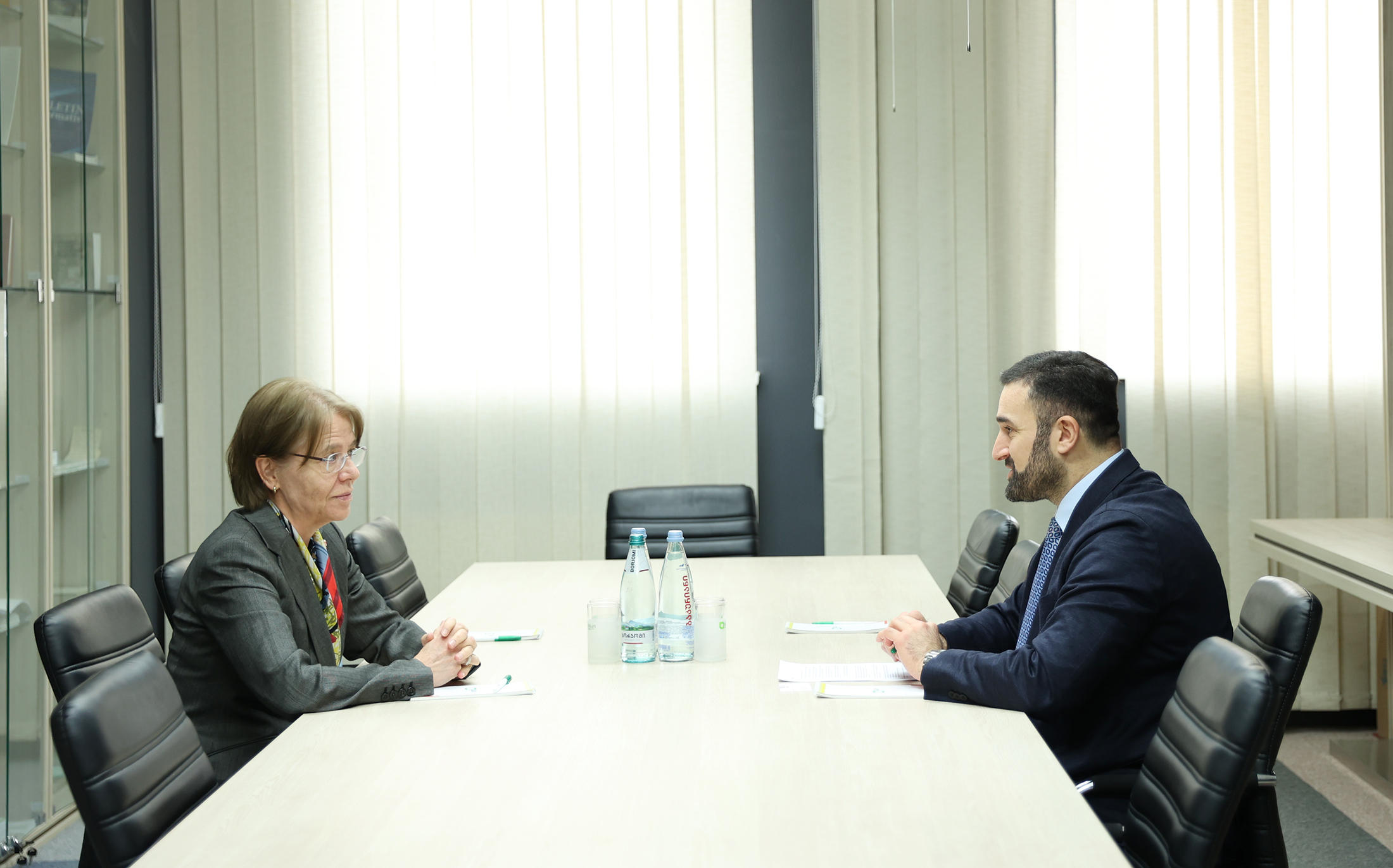 ცესკოს თავმჯდომარე ნიდერლანდების სამეფოს ელჩს შეხვდა