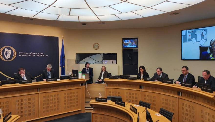 ირლანდიის პარლამენტის ევროკავშირის საქმეთა კომიტეტმა საქართველოს საპარლამენტო დელეგაციას მოუსმინა