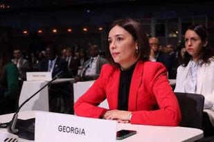 ნინო თანდილაშვილი ევროკომისიის გაფართოებისა და სამეზობლო მოლაპარაკებების საკითხებში გენერალური დირექტორატისა და სხვადასხვა სექტორული სამსახურის წარმომადგენლებს შეხვდა
