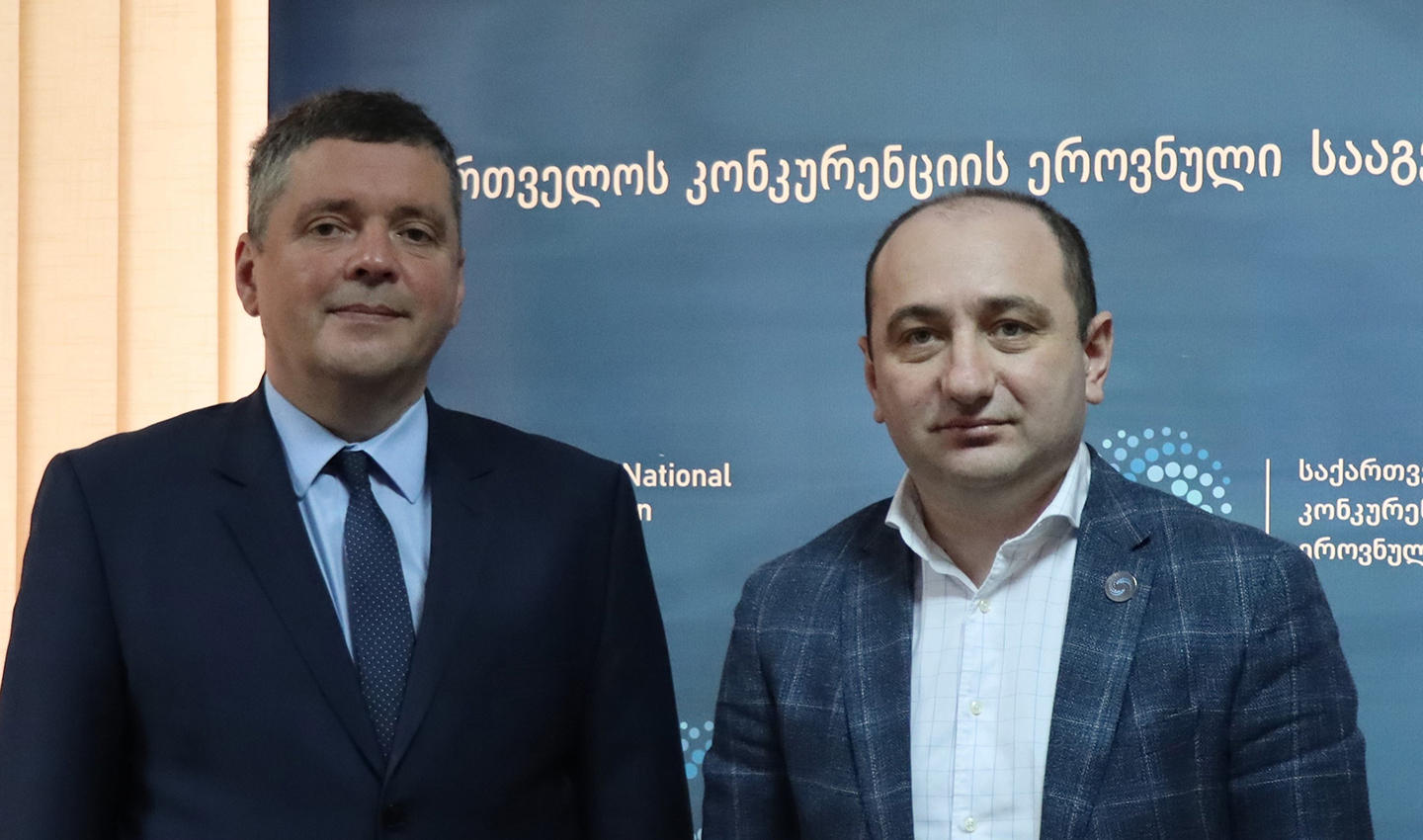 ირაკლი ლექვინაძე საქართველოში რუმინეთის ელჩს რაზვან როტუნდუს შეხვდა