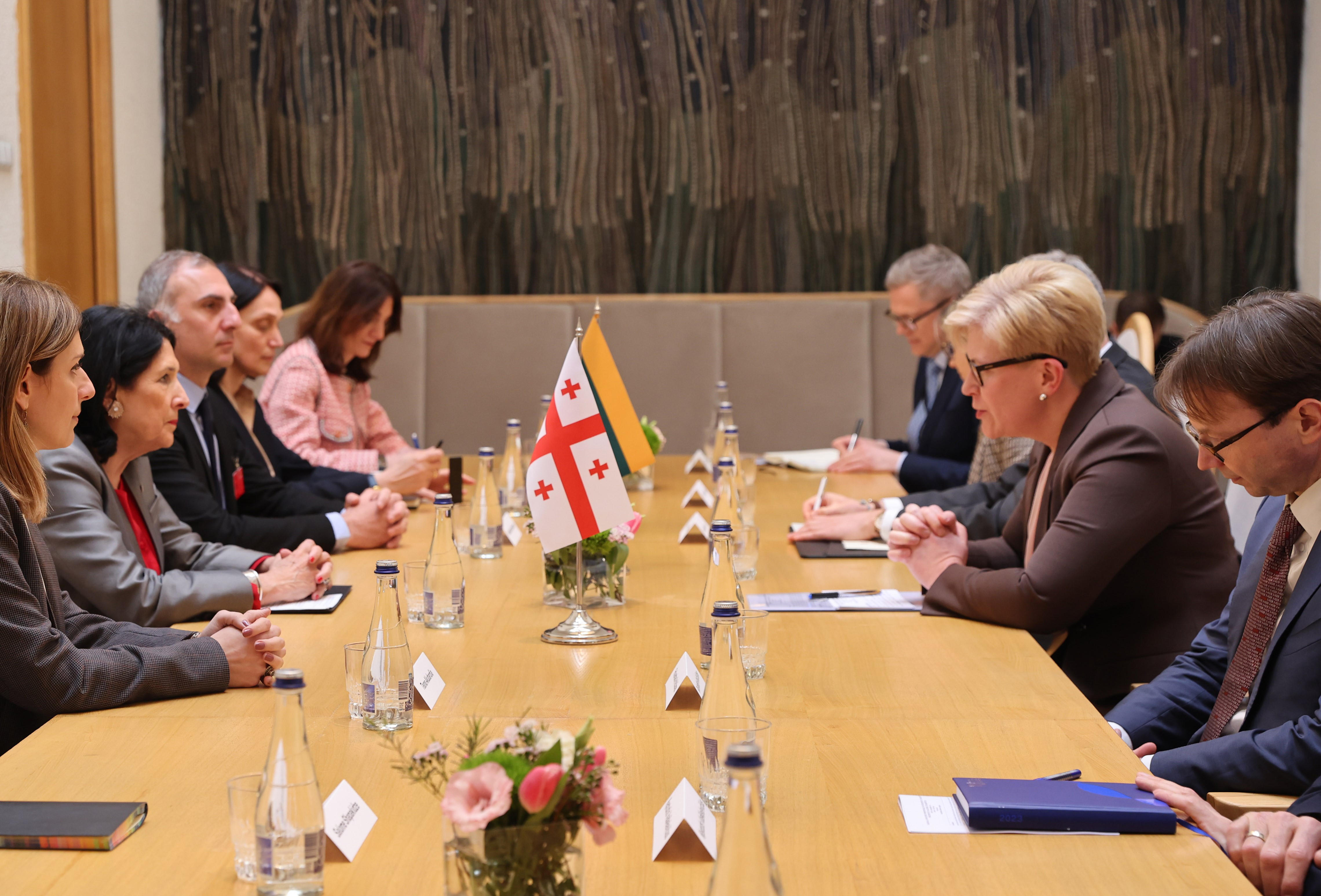 სალომე ზურაბიშვილი ლიეტუვის პრემიერ-მინისტრს ინგრიდა შიმონიტეს შეხვდა