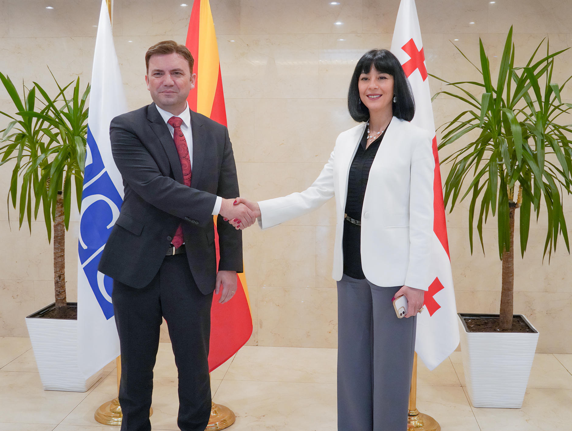 თეა ახვლედიანმა ეუთო-ს მოქმედ თავმჯდომარესთან, ჩრდილოეთ მაკედონიის საგარეო საქმეთა მინისტრთან ბუიარ ოსმანისთან შეხვედრა გამართა