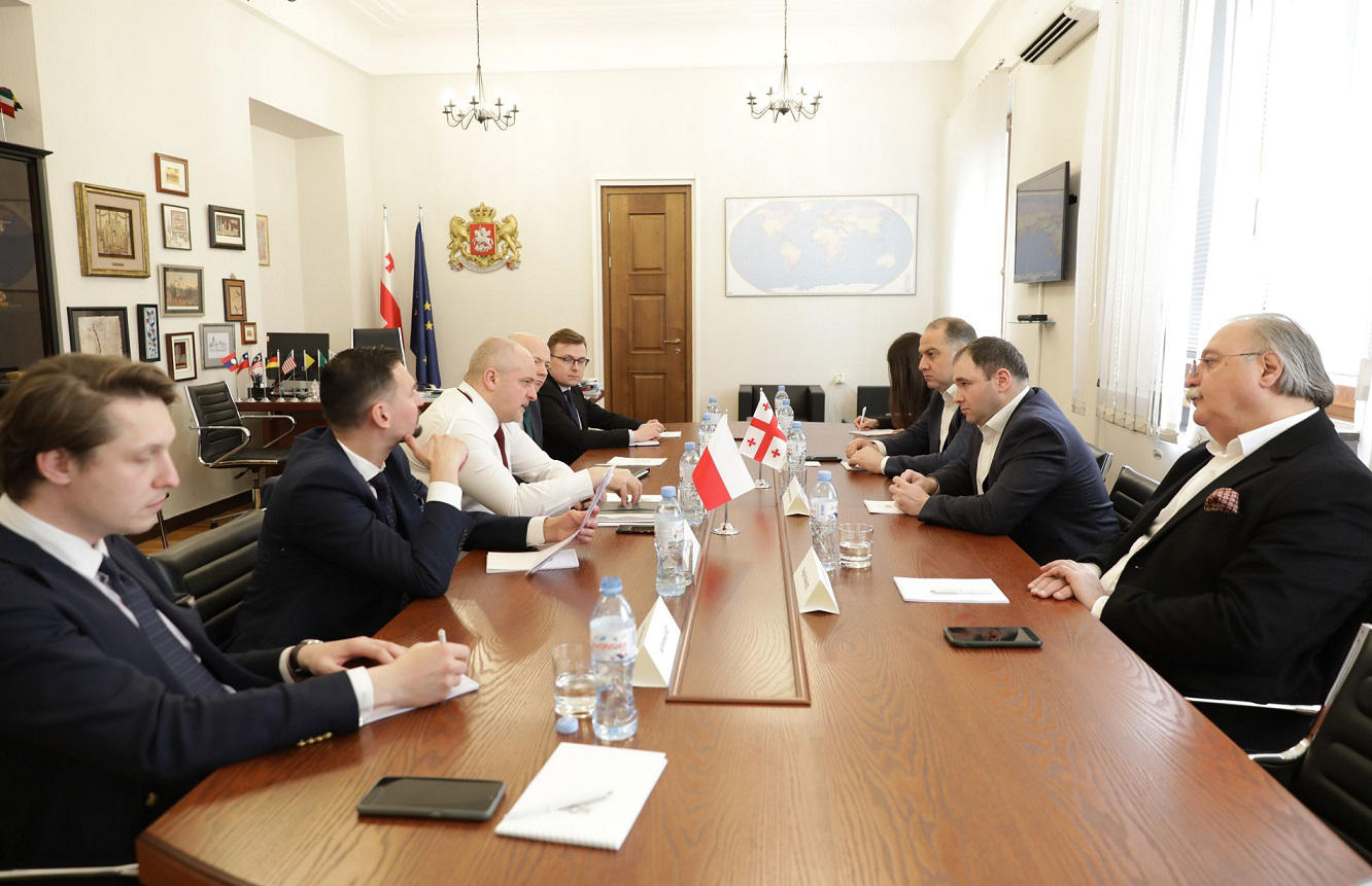 ნიკოლოზ სამხარაძე პოლონეთის სეიმის საგარეო საქმეთა კომიტეტის თავმჯდომარის მოადგილეს შეხვდა