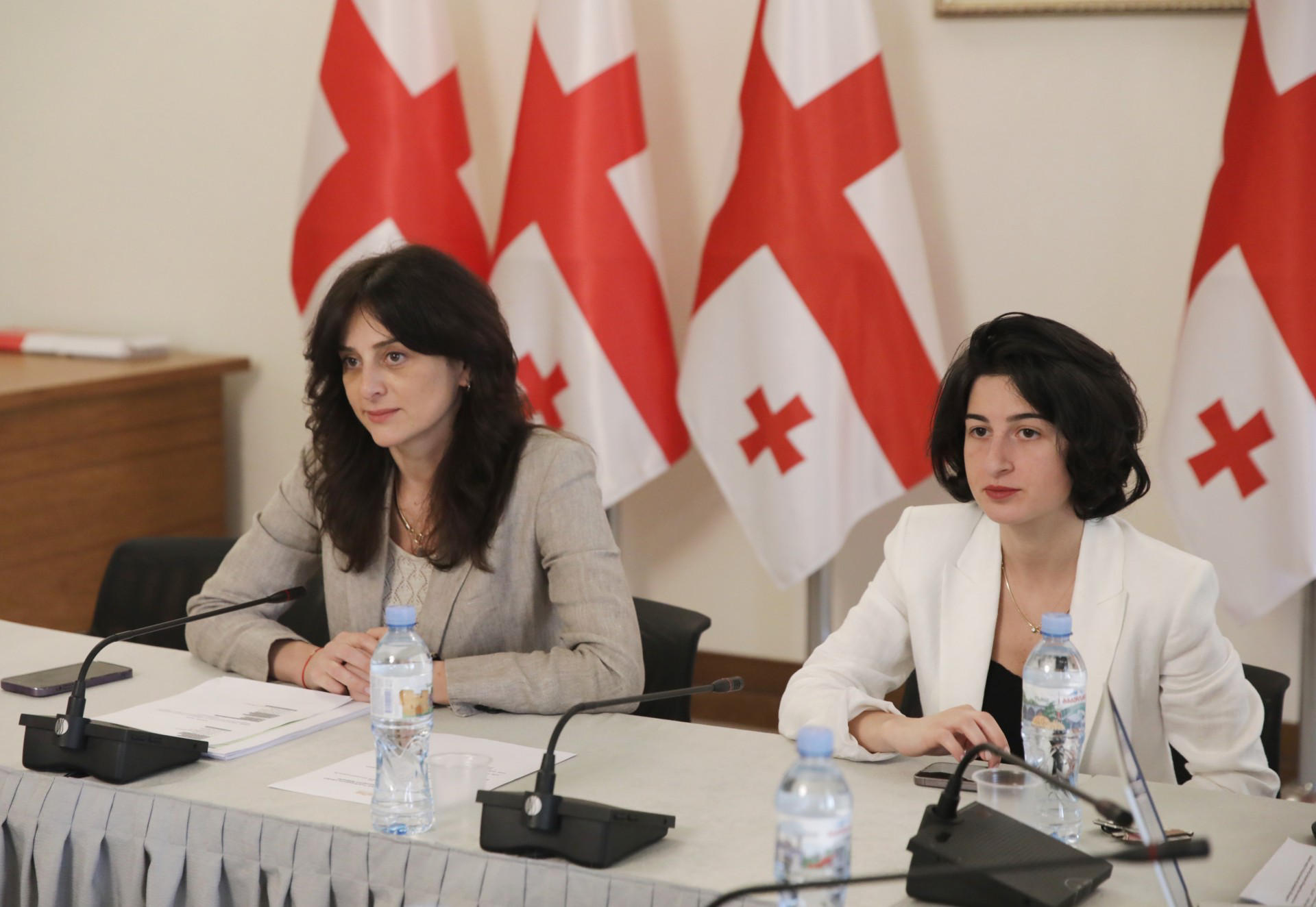 გარემოს დაცვისა და ბუნებრივი რესურსების კომიტეტი შინაურ ბინადარ ცხოველთა კანონპროექტზე მუშაობს