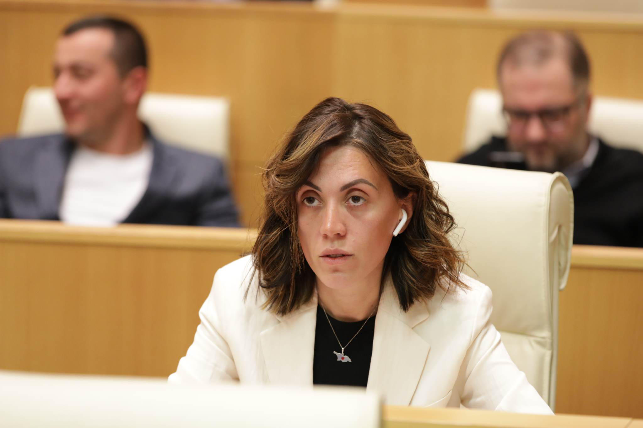 ანა წითლიძე „ქართული ოცნების“ დეპუტატებს ფარცხალაძის დასანქცირებაზე - მერამდენედ უნდა „შეგეწეროთ“ ბიჭებო?