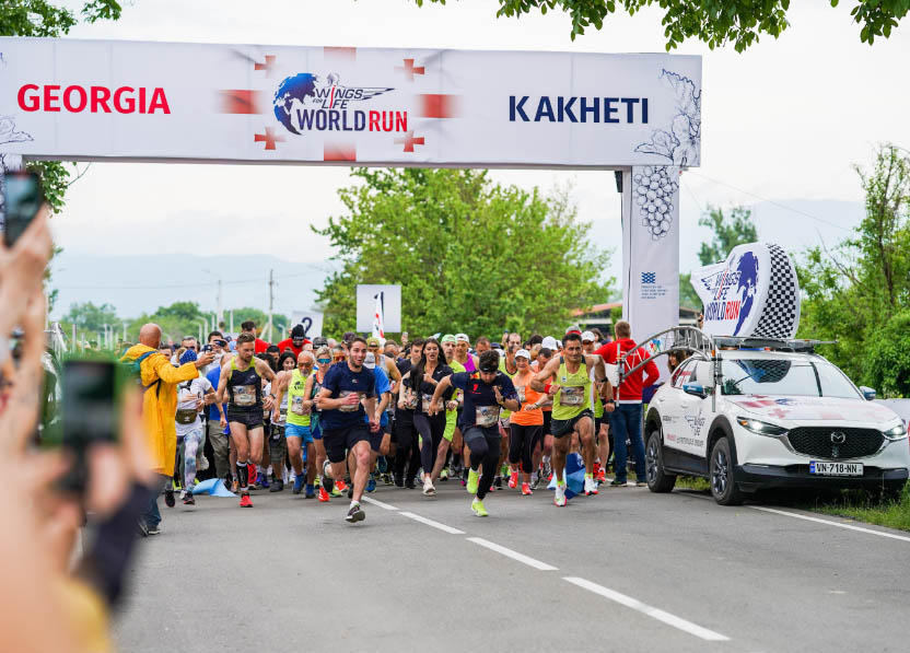 Wings for Life World Run – საქველმოქმედო მარათონში „თეგეტას“ 200-მდე თანამშრომელი ჩაერთო