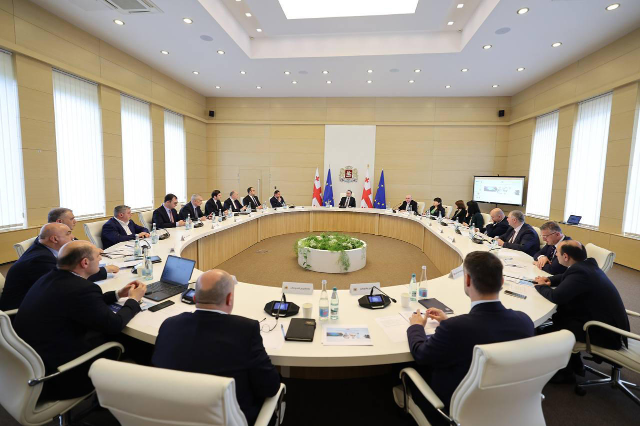 ირაკლი ღარიბაშვილის ხელმძღვანელობით, საქართველოს დემოგრაფიულ საკითხთა განმხილველი საბჭოს სხდომა გაიმართა