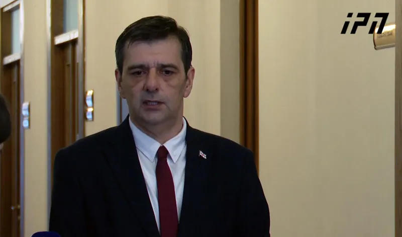 პრეზიდენტის საპარლამენტო მდივანი იმპიჩმენტზე - ერთადერთ რამეს შეიძლება ემსახურებოდეს, ეს არის პრეზიდენტის აქტივობის შეზღუდვა ან მისი პოლიტიკური შევიწროება