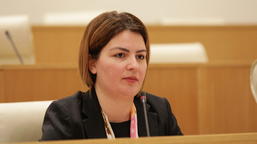 ანა ნაცვლიშვილი - დაარიგეთ პროექტის ის ვერსია, რასაც ახლა ტრინუბიდან გვიკითხავთ - 21-ე საუკუნეში კანონშემოქმედებითი პროცესი ზეპირსიტვიერი არ არის!