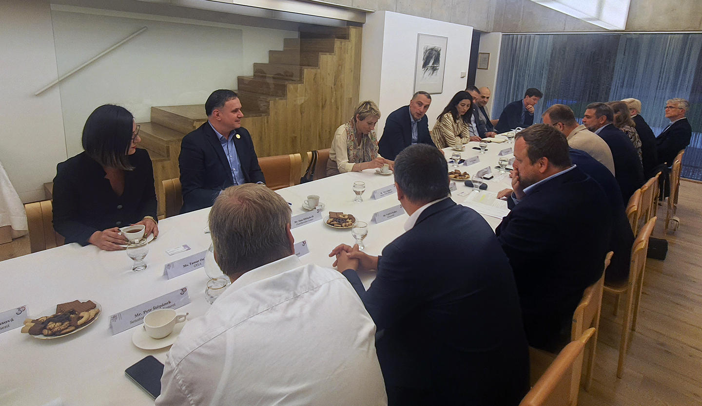 საქართველოში ჩეხეთის რესპუბლიკის საელჩოს მიწვევით, ვიქტორ ყიფიანმა ჩეხეთის პარლამენტის დელეგაციასთან გამართულ შეხვედრაში მონაწილეობა მიიღო