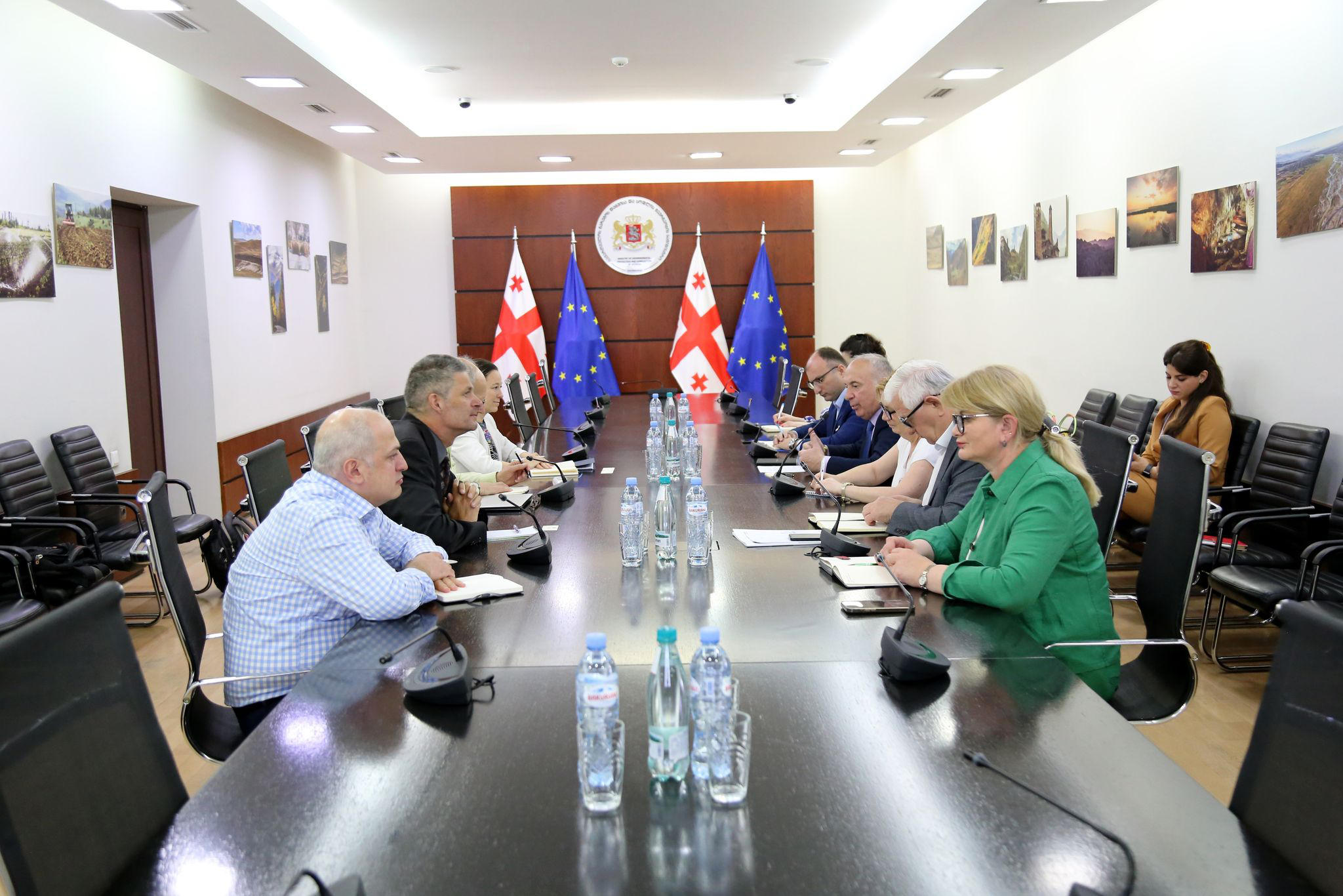 გარემოს დაცვისა და სოფლის მეურნეობის მინისტრის მოადგილე სოლომონ პავლიაშვილი ევროკავშირის დელეგაციის წევრებს შეხვდა