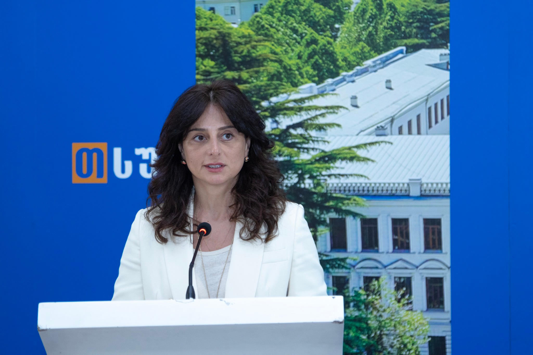 კლიმატის ცვლილების კანონის „მწვანე წიგნის“ შესახებ  შემაჯამებელი საჯარო კონსულტაცია გაიმართა