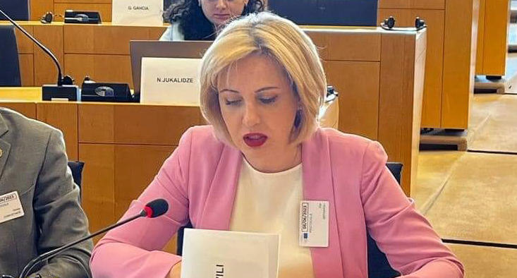 ეკა სეფაშვილი - თუკი საქართველო ნატოსა და ევროკავშირის უსაფრთხოების ქოლგის ქვეშ იქნება, ჩვენ ბევრად მამაცები ვიქნებით და მეტად გავბედავთ გადაწყვეტილებების მიღებას