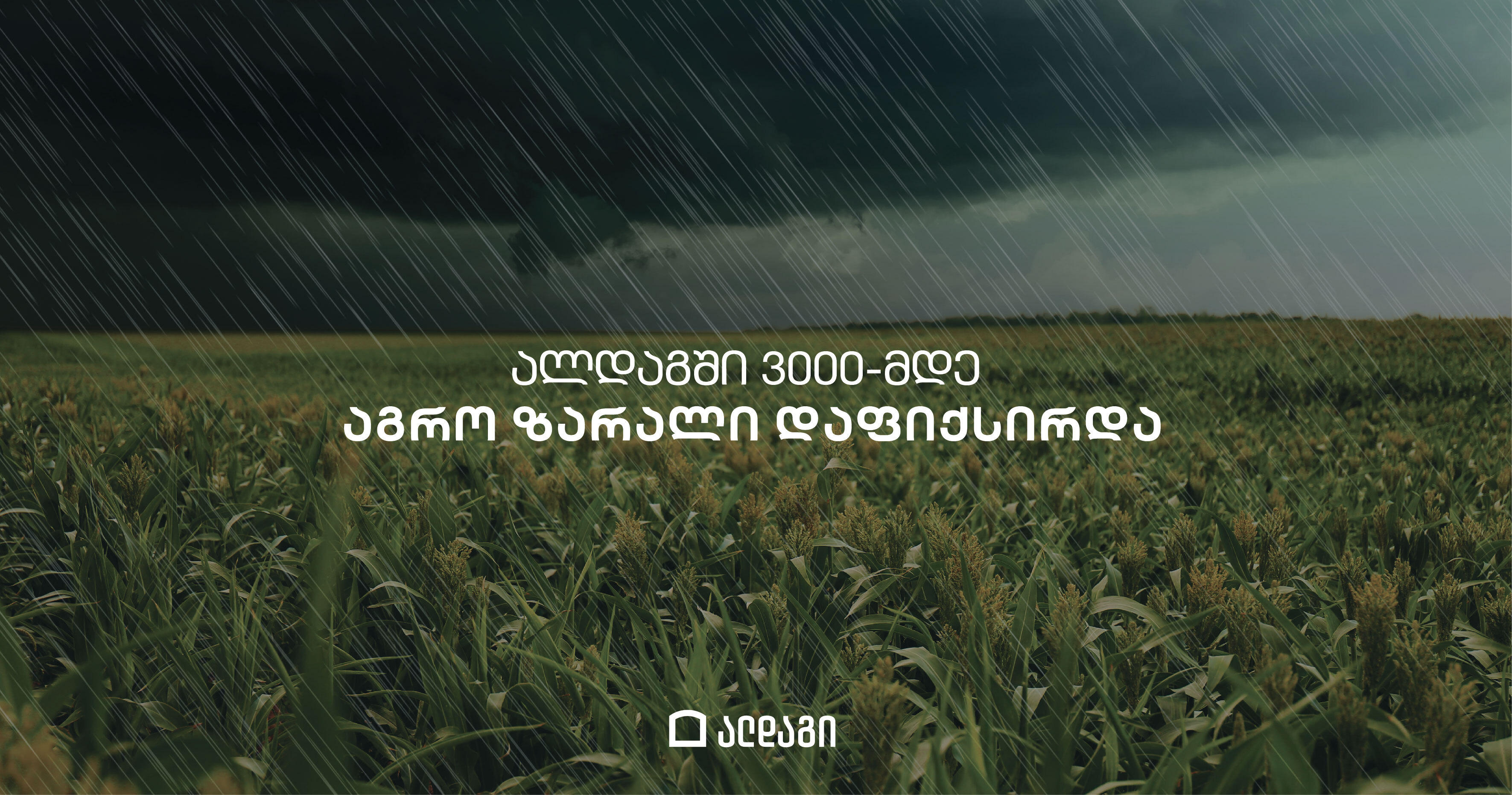 „ალდაგში“ კახეთისთვის სტიქიის შედეგად მიყენებულ ზიანს ითვლიან