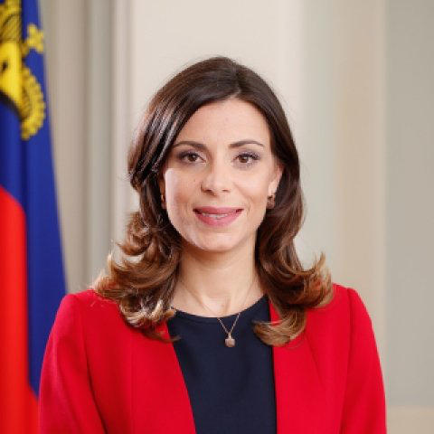 საქართველოს ლიხტენშტაინის საგარეო საქმეთა, განათლებისა და სპორტის მინისტრი ეწვევა
