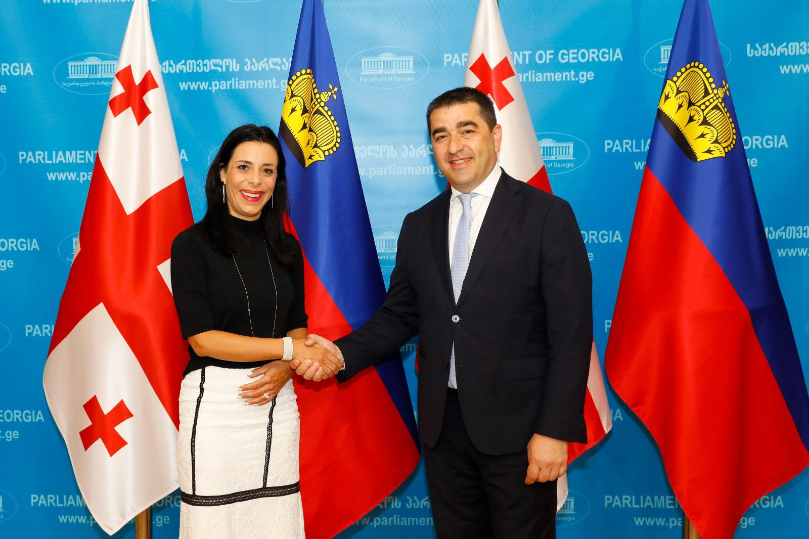 შალვა პაპუაშვილი ლიხტენშტაინის სამთავროს საგარეო საქმეთა, განათლებისა და სპორტის მინისტრს შეხვდა