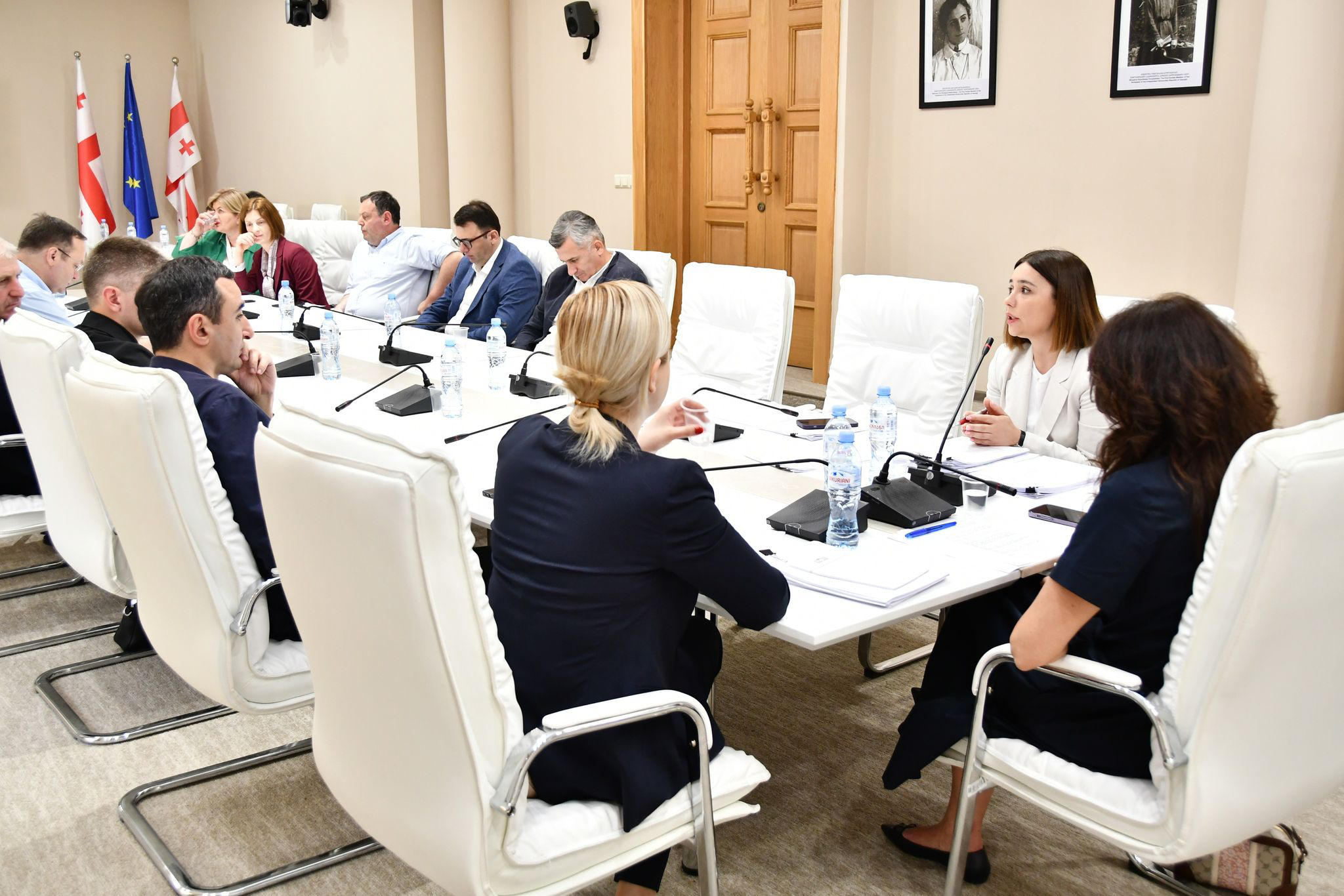 ნინო თანდილაშვილმა გარემოს დაცვისა და ბუნებრივი რესურსების კომიტეტს „სამრეწველო ემისიების შესახებ“ საკანონდებლო კანონის პროექტი და მისგან გამომდინარე საკანონმდებლო ცვლილებები წარუდგინა