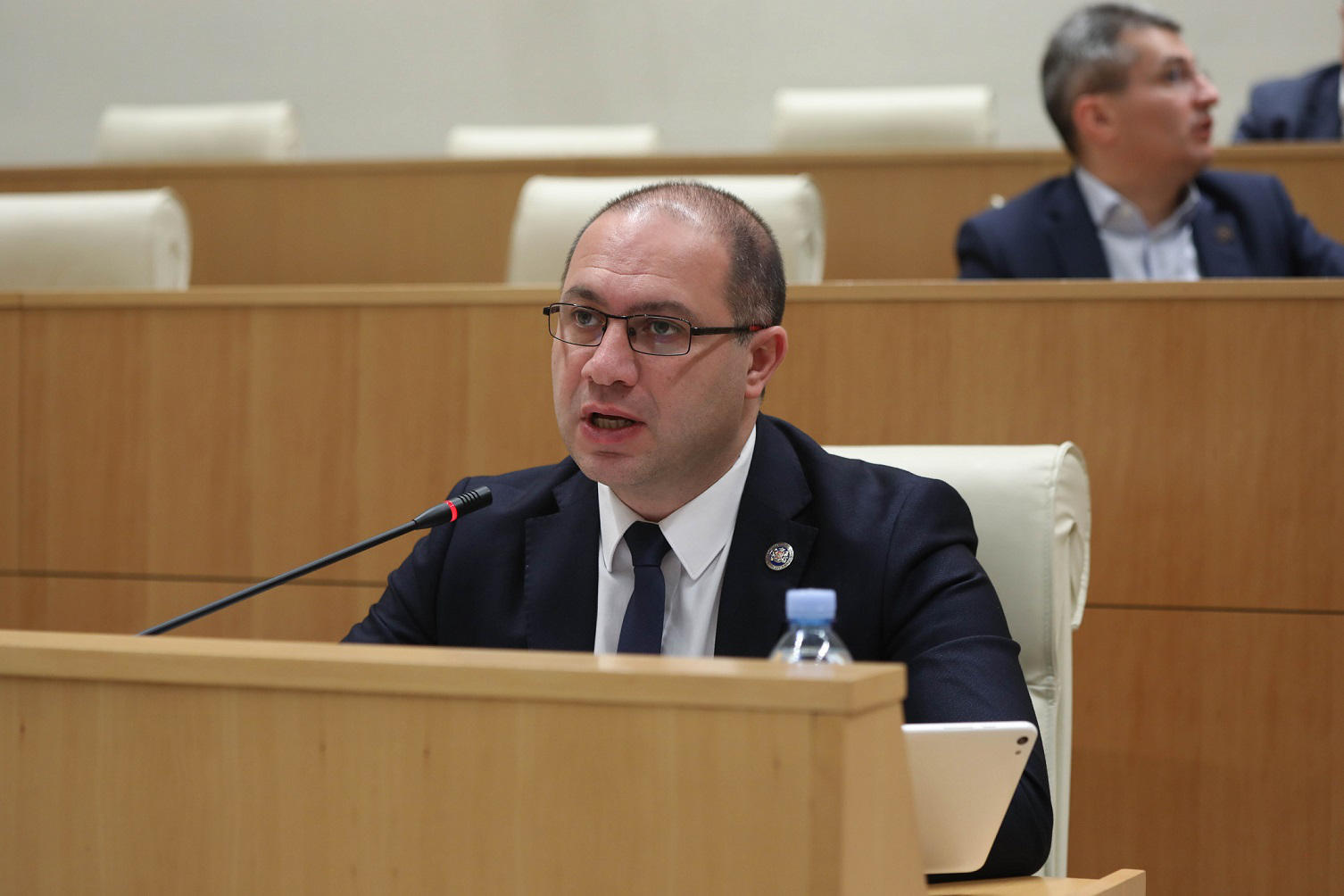 განათლების მინისტრმა პარლამენტში, ინტერპელაციის ფორმატში, უმაღლესი განათლების სისტემის რეფორმის შესახებ ისაუბრა