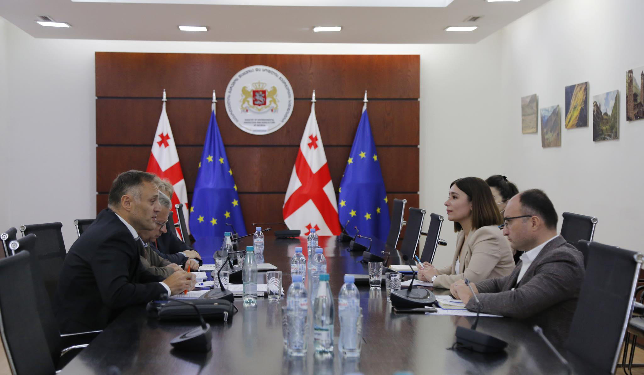 ნინო თანდილაშვილი ENPARD-ის მონიტორინგის მისიის წევრებს შეხვდა