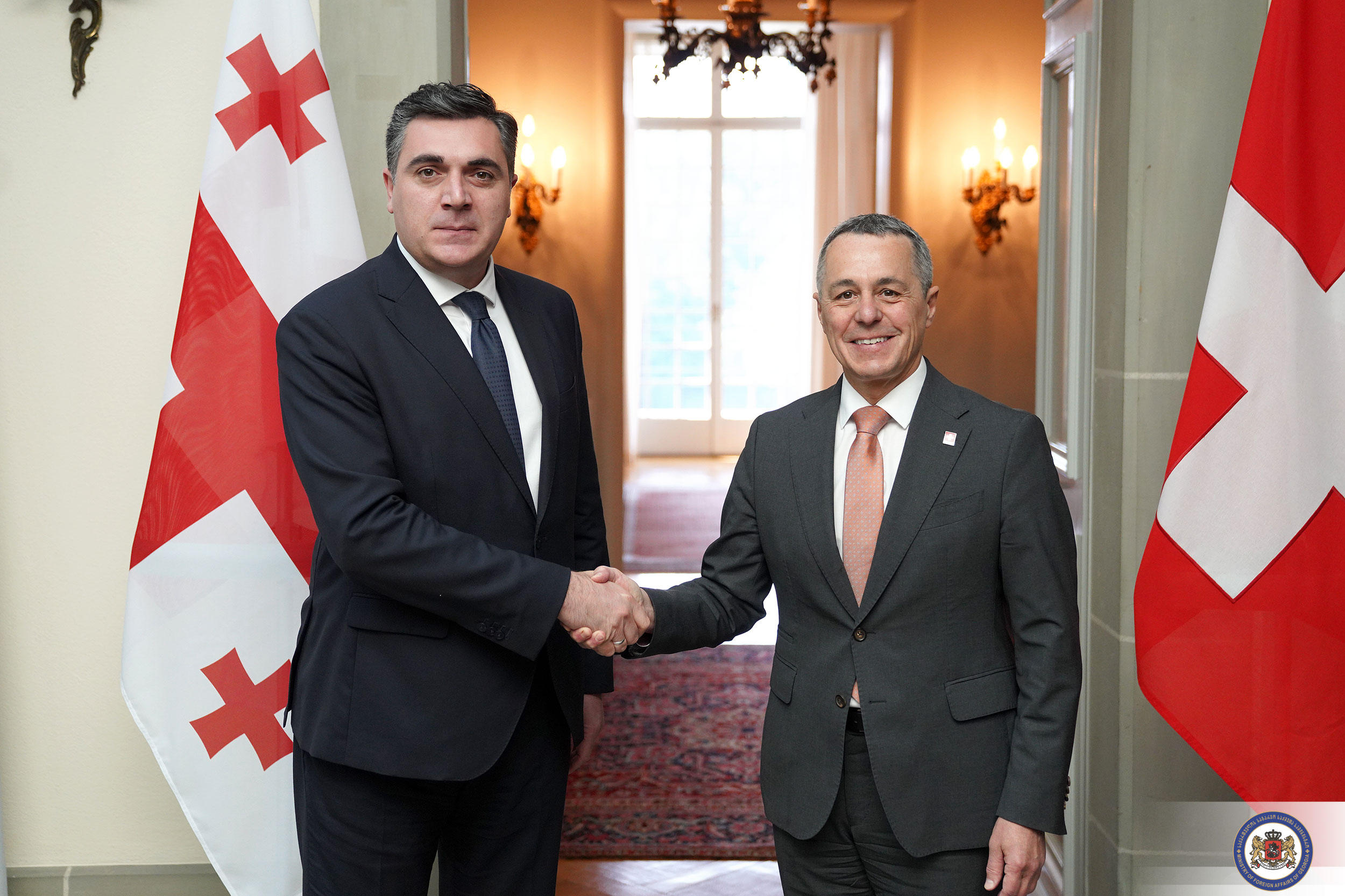 ილია დარჩიაშვილი შვეიცარიელ კოლეგას შეხვდა