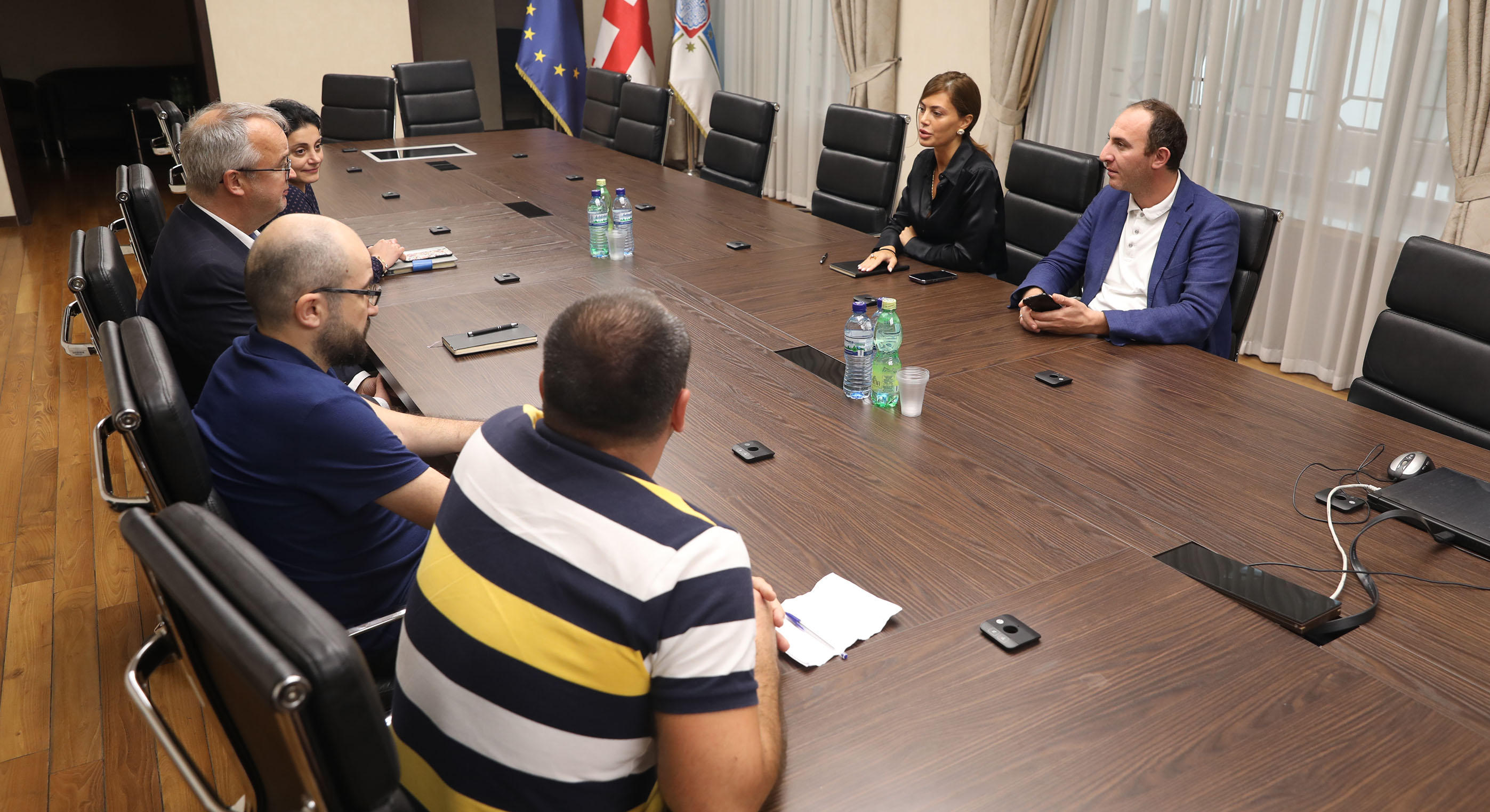 ნინო ვარდოსანიძე სამისამართო საკითხებში საერთაშორისო ექსპერტს  ფრენკ ჰაუგანს შეხვდა