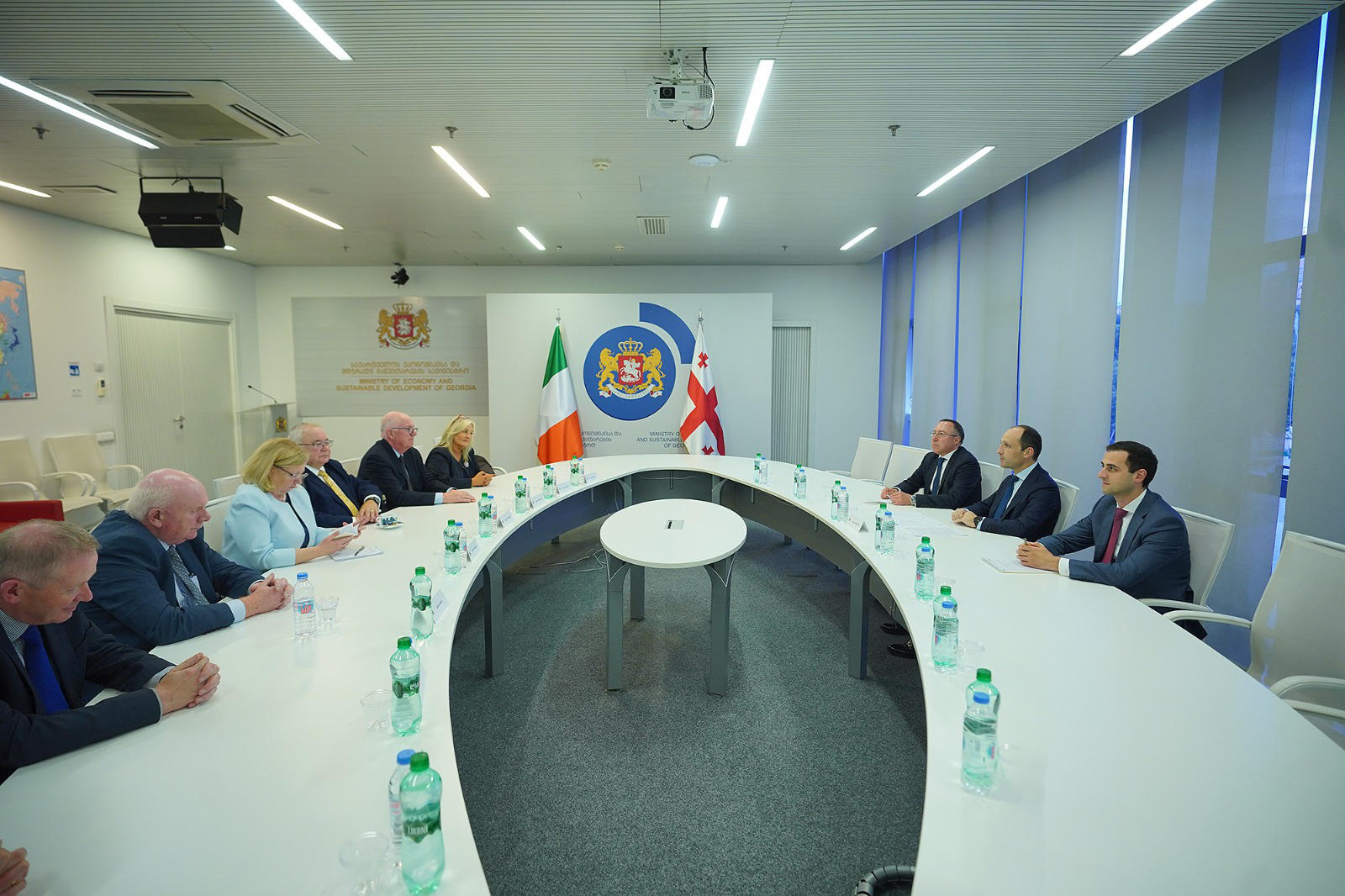 ლევან დავითაშვილი ირლანდიის პარლამენტის ქვედა პალატის თავმჯდომარეს შეხვდა