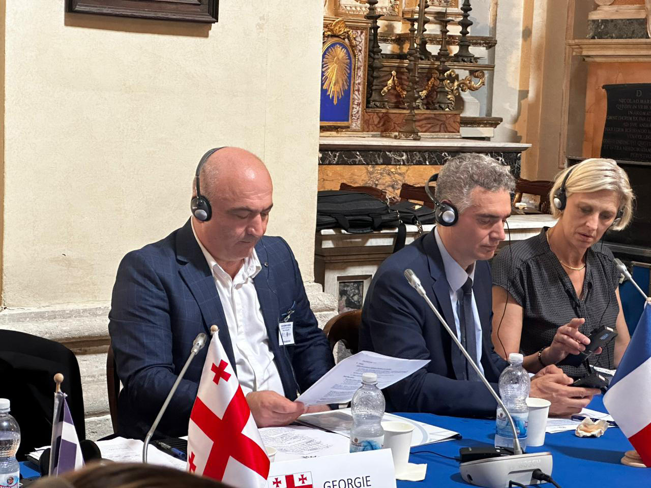 ნოტარიუსთა პალატის გამგეობის თავმჯდომარემ ნოტარიუსთა საერთაშორისო კავშირის ევროპის საქმეთა კომისიის სხდომაზე სისტემაში დანერგილი სიახლეები წარადგინა