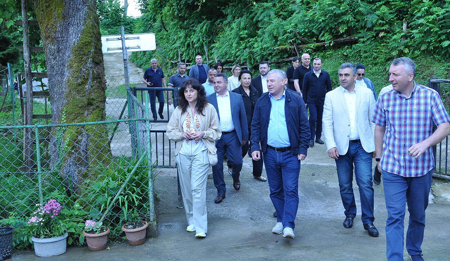 გარემოს დაცვისა და ბუნებრივი რესურსების კომიტეტი გასვლითი სხდომის ფარგლებში მაჭახელას ხეობაში იმყოფებოდა