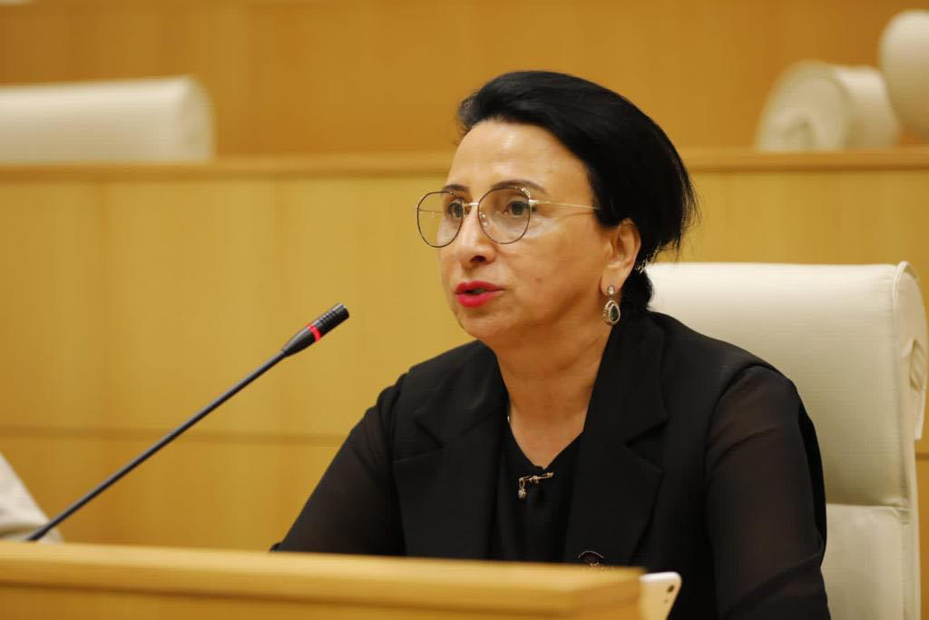 რიმა ბერაძე - არ არის მოსაწონი შეურაცხყოფა, არც ოპოზიციის და პოზიციის მხრიდან - ჩემთვისაც მოუყენებიათ შეურაცხყოფა, მამაკაცებზეც ვსაუბრობ და ქალებზეც, გენდერი აქ რა შუაშია?