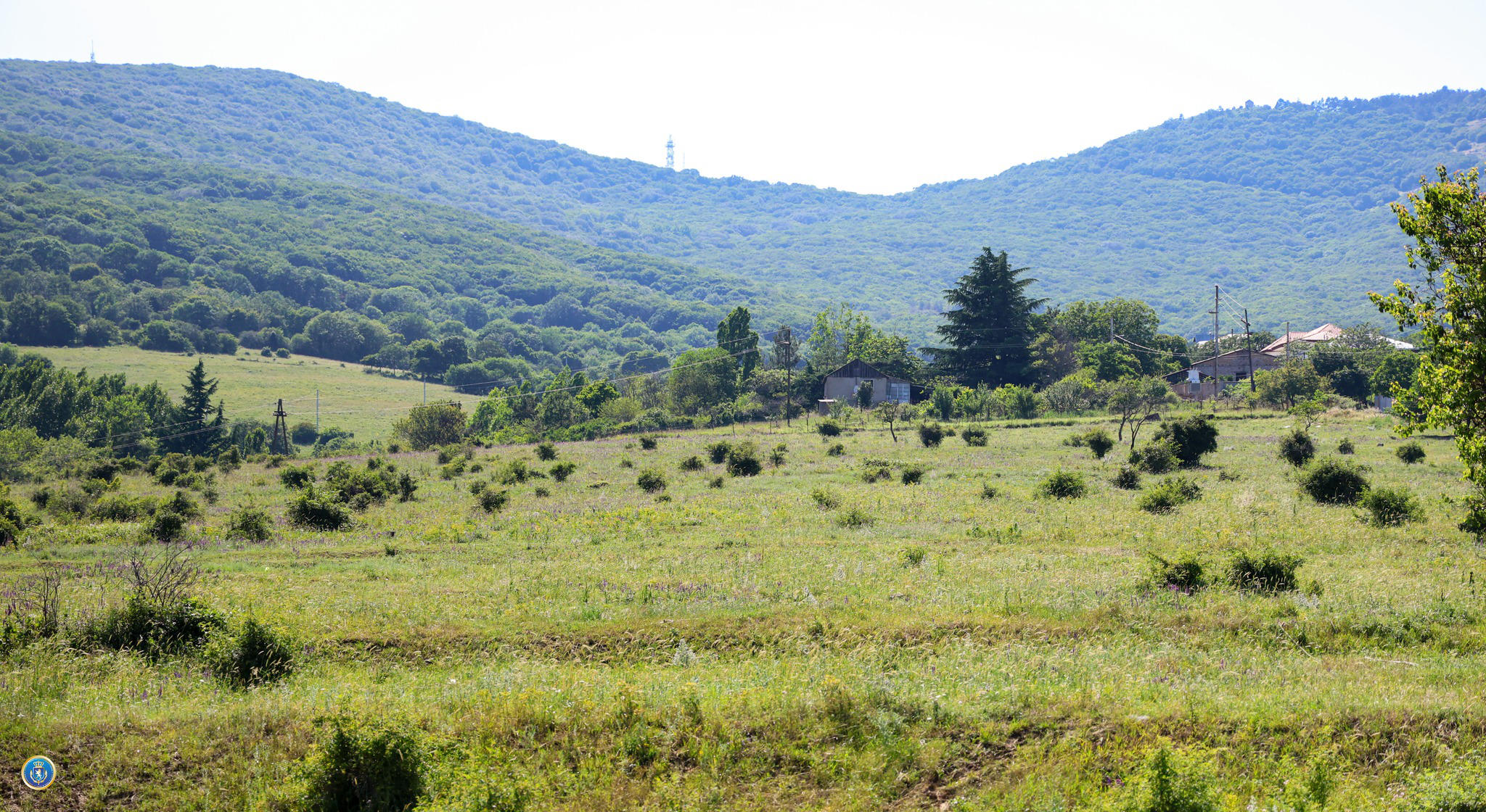 13 მილიონი ლარის ღირებულების უძრავი ქონების მოტყუებით დაუფლების მცდელობის ფაქტზე საგამოძიებო სამსახურმა სამი პირი დააკავა