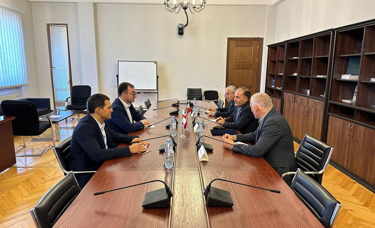 დავით სონღულაშვილი საქართველოში ირანის ისლამური რესპუბლიკის ელჩს მაჰმუდ ადიბს შეხვდა