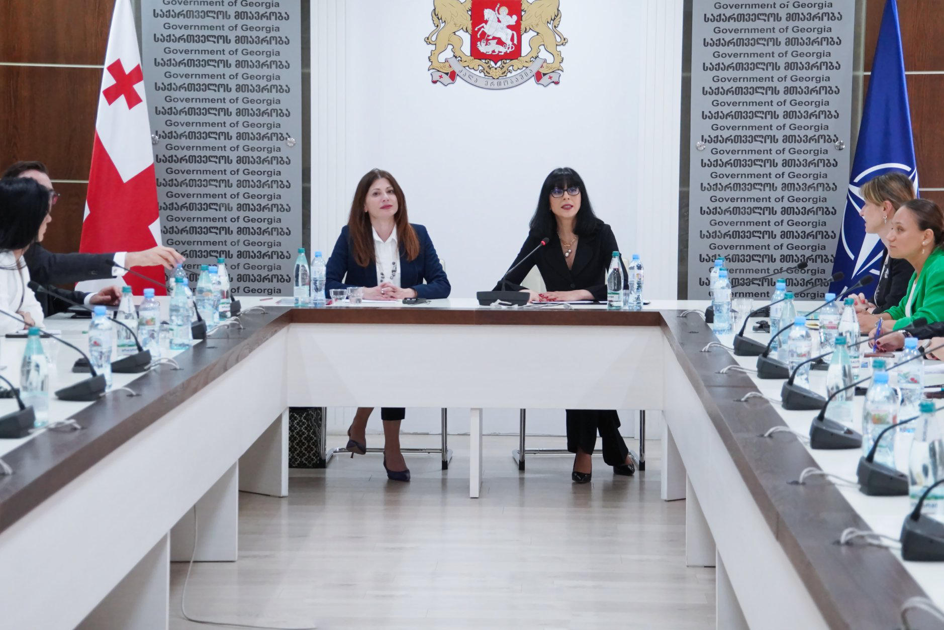 თეა ახვლედიანმა საქართველოში სამუშაო ვიზიტით მყოფ, ნატო-ს გენერალური მდივნის სპეციალურ წარმომადგენელს ქალების, მშვიდობისა და უსაფრთხოების საკითხებში ირენ ფელინს უმასპინძლა