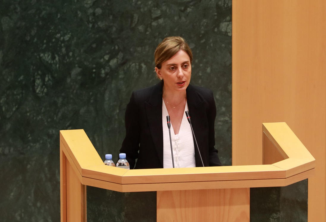 ხატია დეკანოიძე - არარაობებს გვეძახის პრემიერ-მინისტრი, ძალიან მაინტერესებს, რა დეპოლარიზაციაზე და 12 პუნქტის შესრულებაზეა საუბარი? - კოლეგებო, პროტესტი არ გიჩნდებათ, რადგან თქვენც მოგწონთ ეს