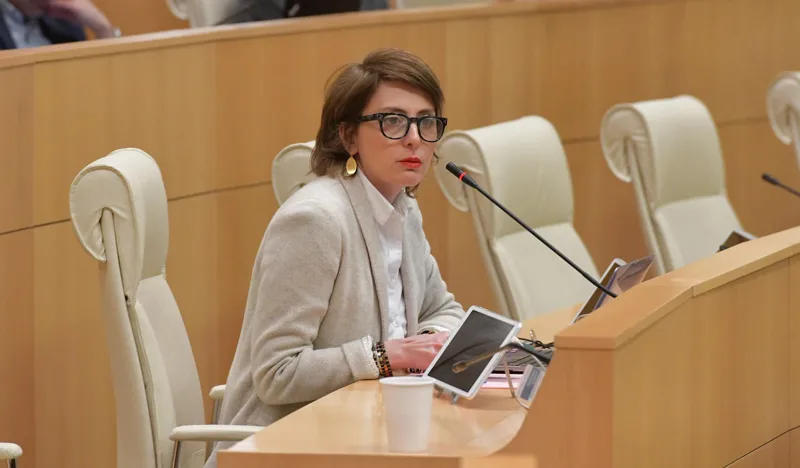 Khatia Dekanoidze calls Iago Khvichia "rude" and "garbage" during discussion of abolition of gender quotas