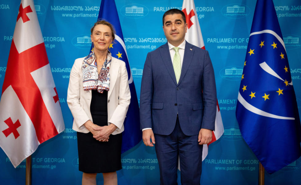 შალვა პაპუაშვილი ევროპის საბჭოს გენერალურ მდივანს შეხვდა