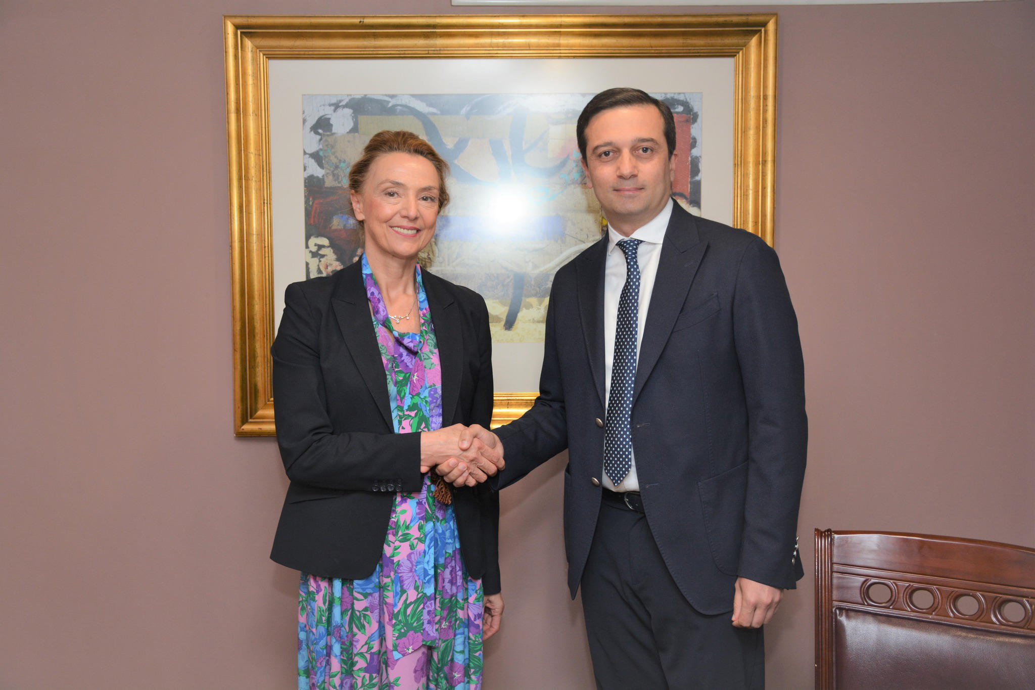 სახალხო დამცველი ევროპის საბჭოს გენერალურ მდივანს შეხვდა