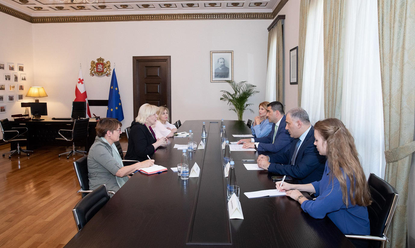 შალვა პაპუაშვილი ევროპის საბჭოს ადამიანის უფლებათა კომისარს შეხვდა