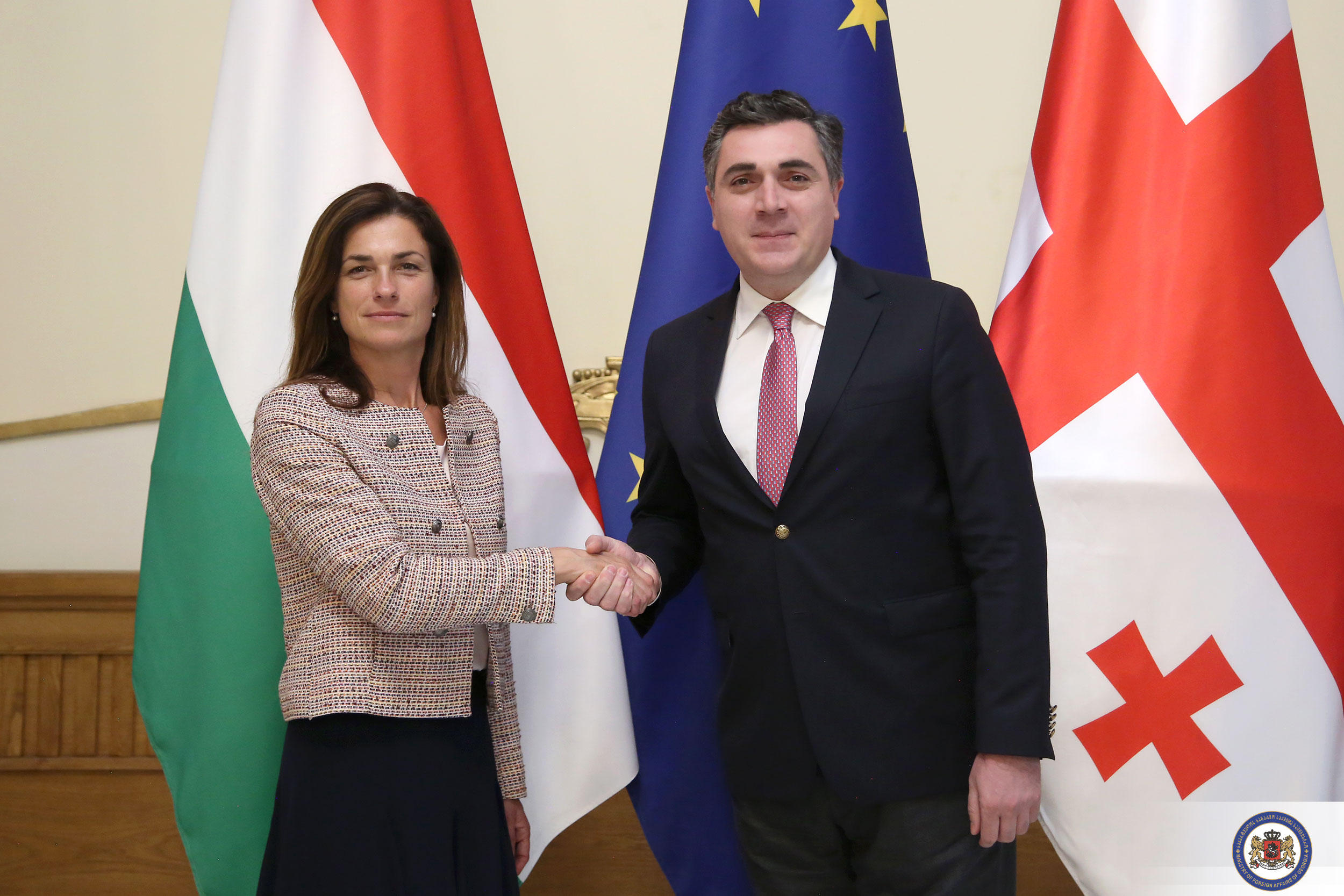ილია დარჩიაშვილი უნგრეთის იუსტიციის მინისტრს შეხვდა