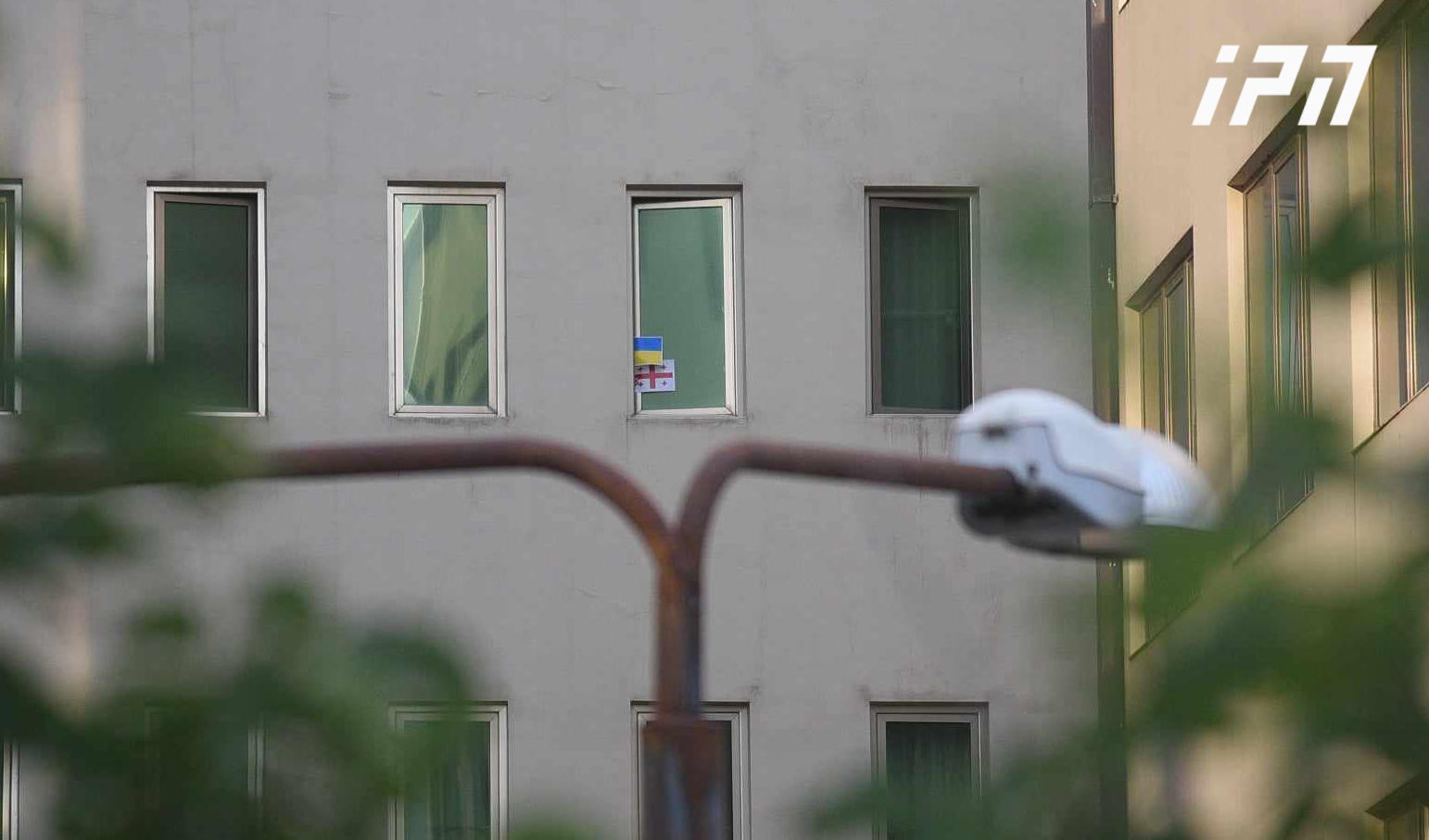 „ვივამედთან“ აქცია დასრულდა - მიხეილ სააკაშვილი მხარდამჭერებს საქართველოსა და უკრაინის დროშებით მიესალმა