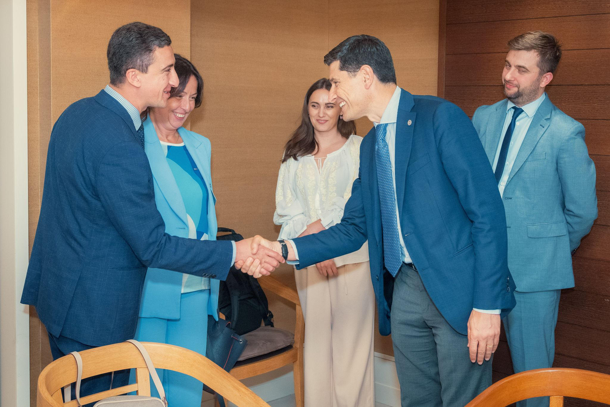 სოსო გიორგაძე ევროკავშირის ინტელექტუალური საკუთრების უწყების წარმომადგენლებს შეხვდა