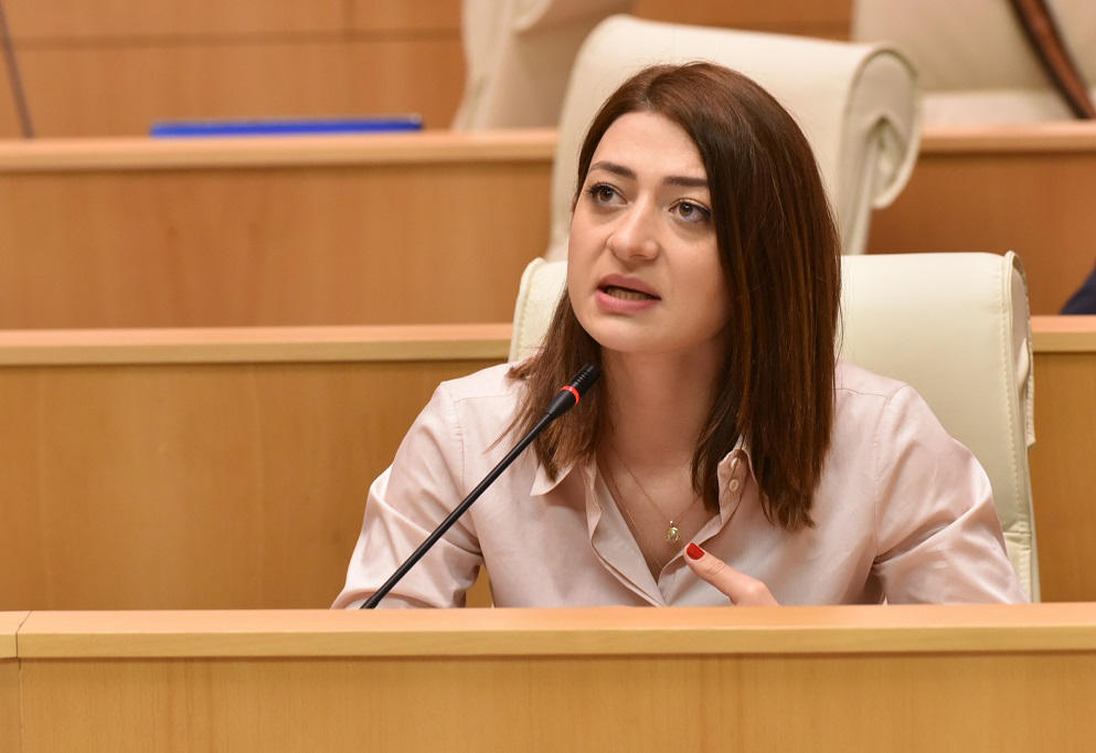ანა ბუჩუკური საპარლამენტო უმრავლესობას - ნატო-სთვის საქართველო ერთ-ერთი ყველაზე მნიშვნელოვანი პარტნიორი იყო და ამ 2-3 წელში მოახერხეთ, რომ ფაქტობრივად ჩვენი ქვეყნის ხსენება არ არის