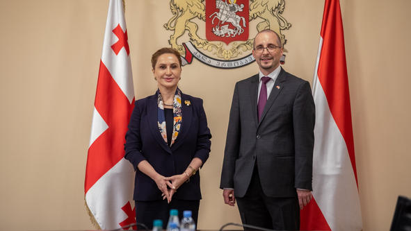 თავდაცვის მინისტრის პირველი მოადგილე ავსტრიელ კოლეგას შეხვდა
