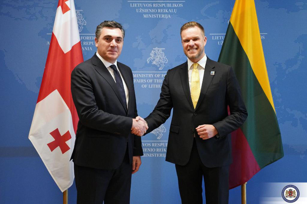 ილია დარჩიაშვილი ლიეტუველ კოლეგას შეხვდა