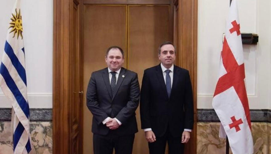 ნიკოლოზ სამხარაძე ურუგვაის დეპუტატთა პალატის თავმჯდომარეს შეხვდა