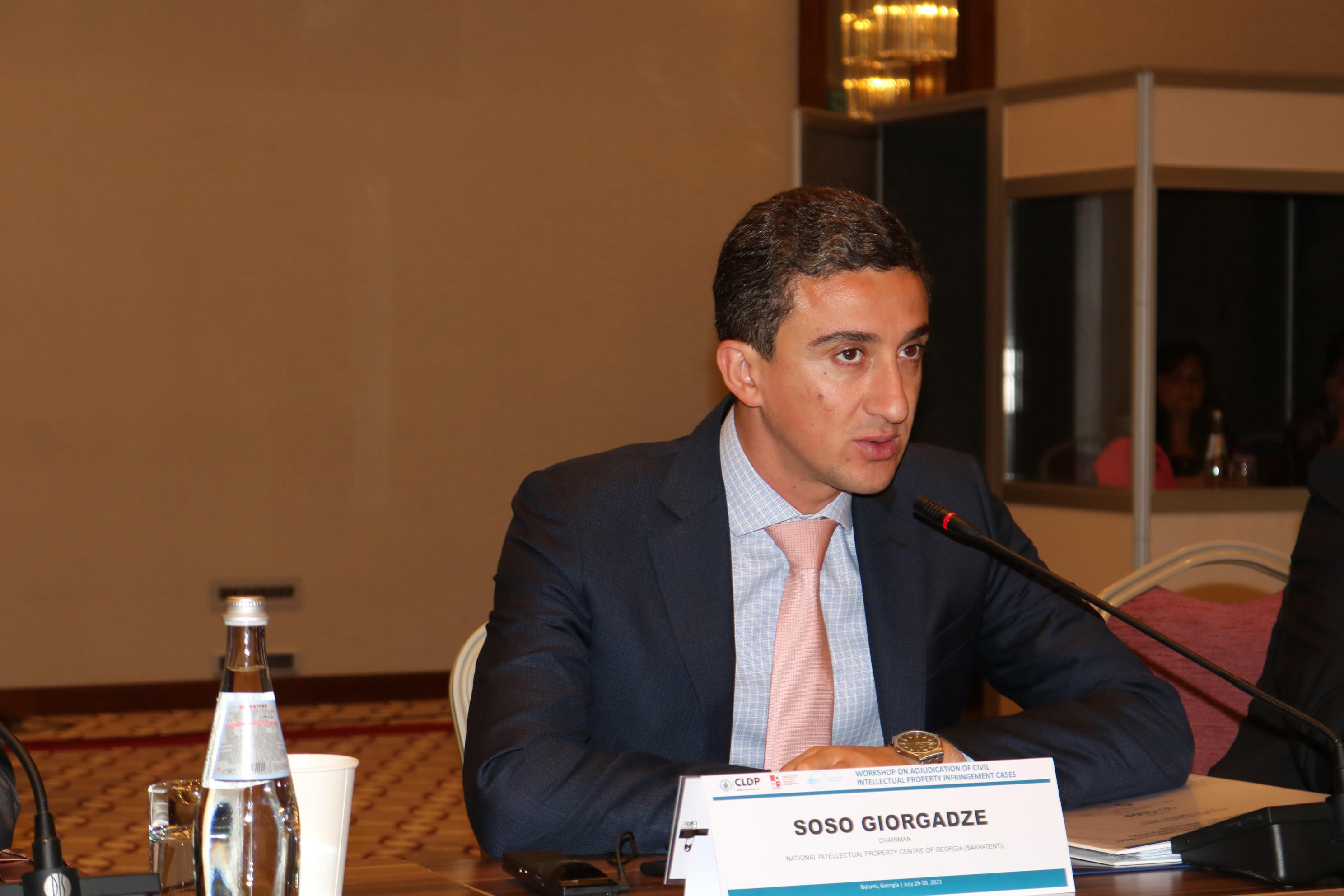 ბათუმში ქართველი, ამერიკელი და ევროპელი მოსამართლეები ინტელექტუალური საკუთრების ობიექტებთან დაკავშირებულ დავებზე სასამართლო პრაქტიკას განიხილავენ