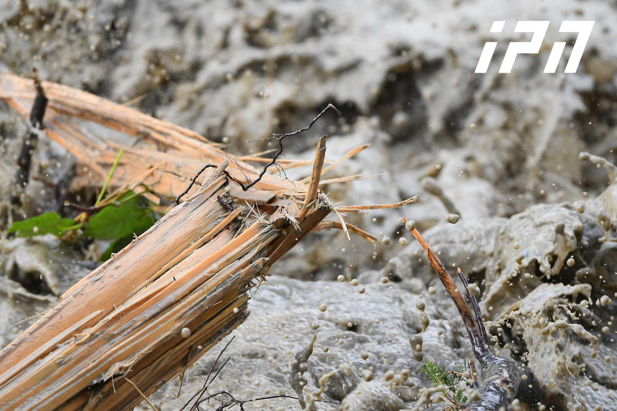 გარემოს ეროვნული სააგენტოს განცხადებით, მათ მიერ მომზადებულ, 2022 წლის ბიულეტენში საუბარია არა მდინარე ბუბისწყალზე, სადაც ღვარცოფი განვითარდა, არამედ მდინარე დღვიორაზე, რომელიც სტიქიის ზონიდან 1,5 კილომეტრით ქვემოთაა