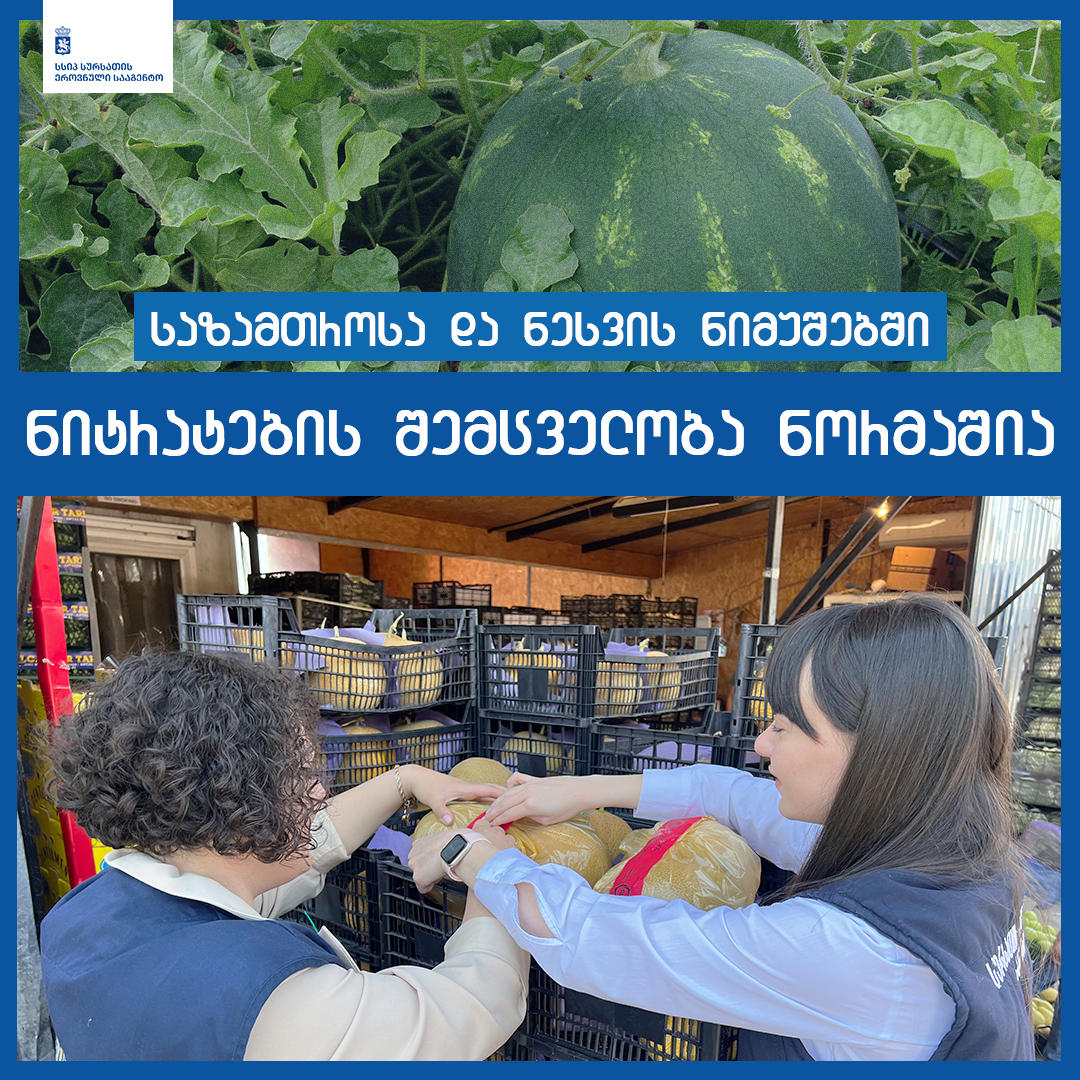 სურსათის ეროვნული სააგენტო - საზამთროსა და ნესვის ნიმუშებში ნიტრატების შემცველობაზე დარღვევა არ გამოვლინდა