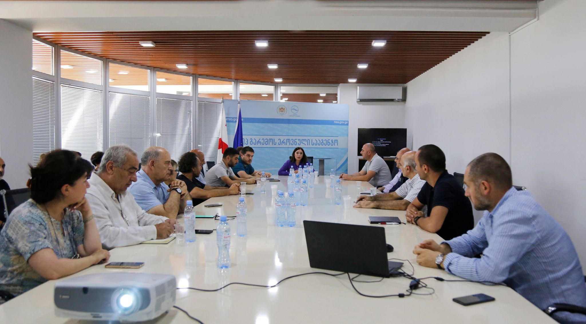 ნინო თანდილაშვილი - სატელიტური მონაცემები ამყარებს მოსაზრებას, რომ ხეობაში სტიქიის განვითარებამდე წყლის მასების დაგუბებას ადგილი არ ჰქონდა