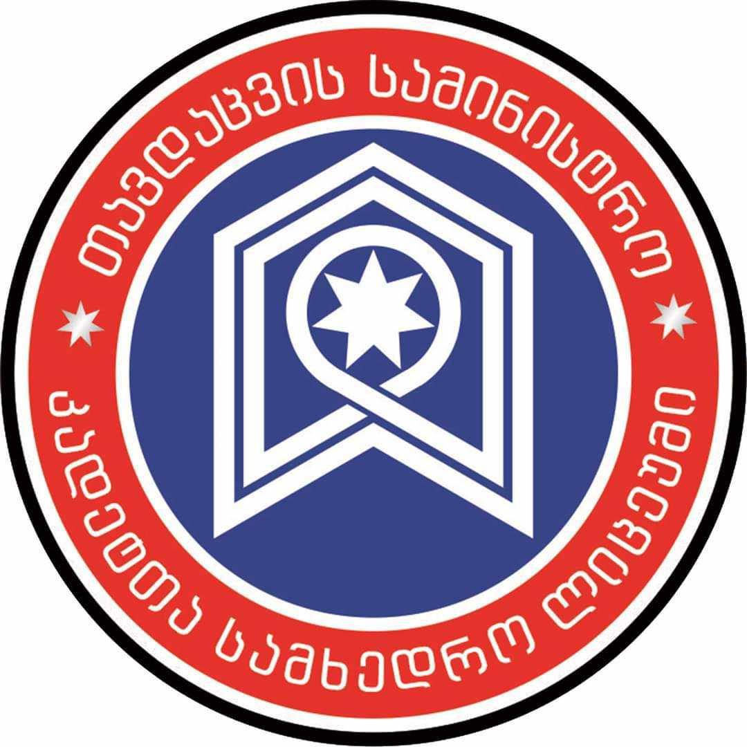 გენერალ გიორგი კვინიტაძის სახელობის კადეტთა სამხედრო ლიცეუმი კონკურსს აცხადებს