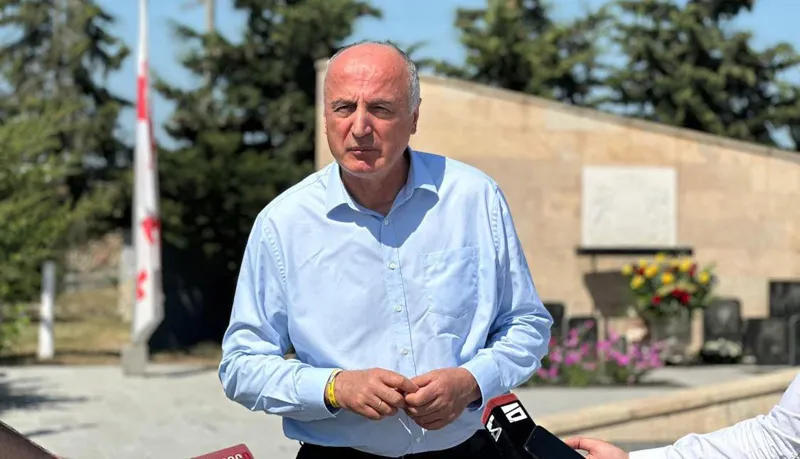 Badri Japaridze: It is clear that the constant attack on the US Ambassador serves to discredit our closest partner - the United States